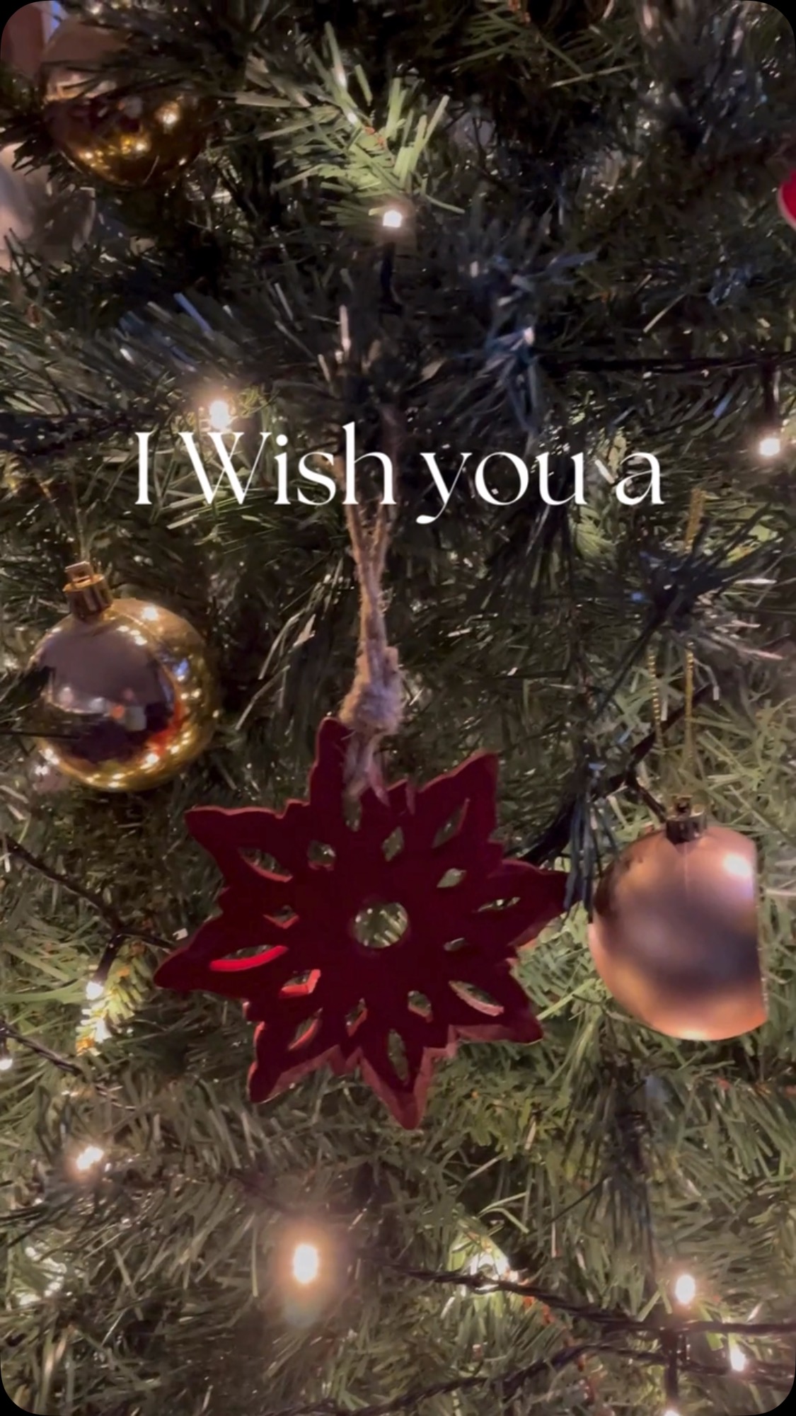 Merry merry Christmas love and blessings Patience #merrychristmas #whomealeader